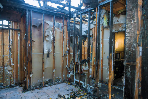 Professional Fire Damage Removal technician working in Mountain Home, AR